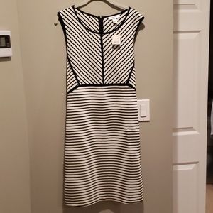 Motherhood Maternity Navy and White dress NWT!